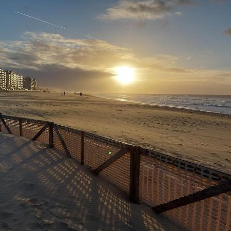 Appartement Met Zeezicht En Verwarmd Zwembad Oostende Eksteriør billede