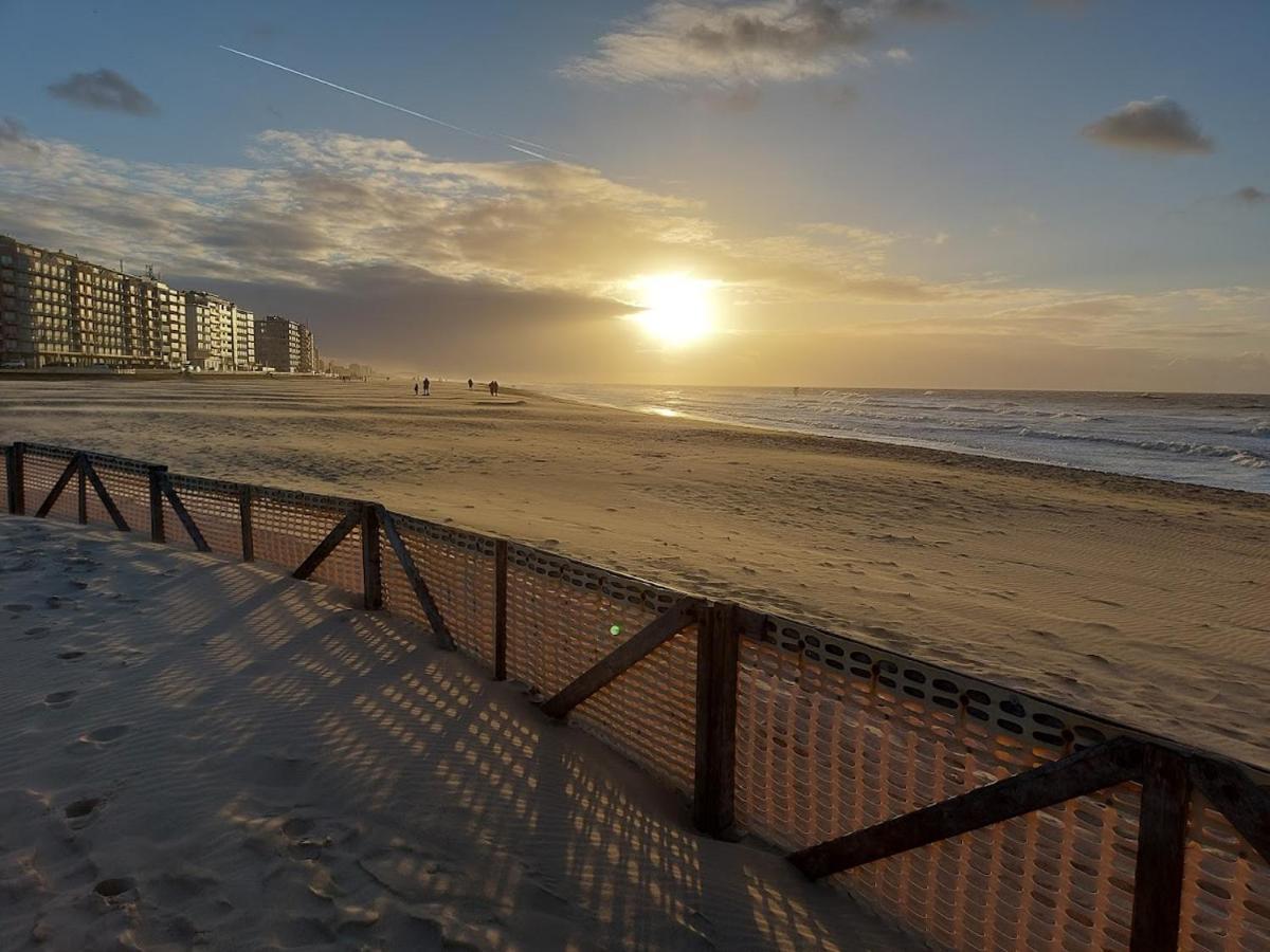 Appartement Met Zeezicht En Verwarmd Zwembad Oostende Eksteriør billede